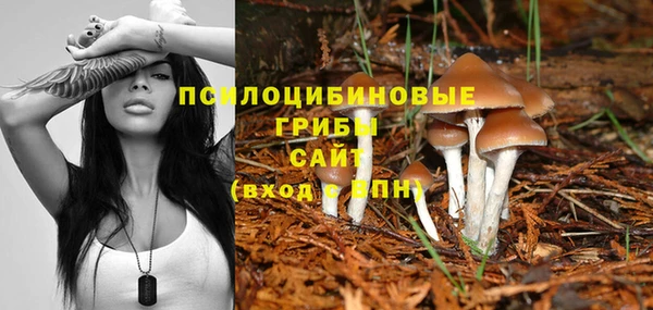 синтетический гашиш Вязьма