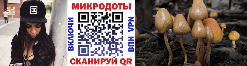 Галлюциногенные грибы Psilocybine cubensis  Купить закладки  Кимовск 